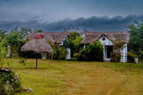 a house with a thatched roof and a yard at CABAÑAS THAJU in El Naranjito