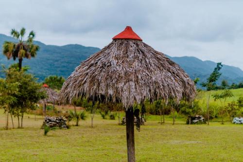 a straw umbrella with a red top on a field at CABAÑAS THAJU in El Naranjito