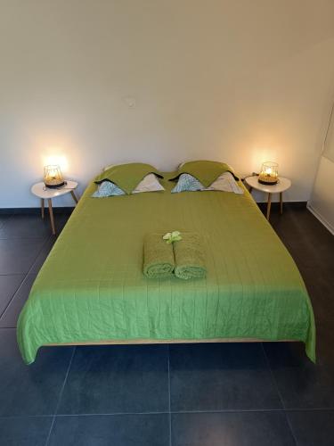 a bedroom with a green bed with two tables at Résidence Amarosa in Les Avirons