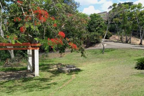 a park with a bench in the grass with red flowers at Villa 1 in San José de Las Matas