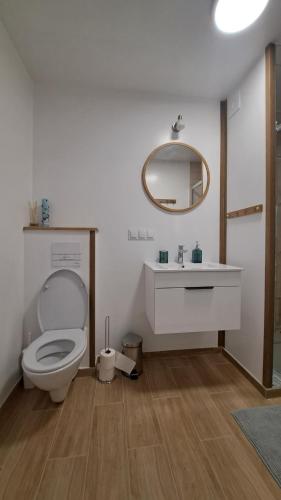 bagno con servizi igienici, lavandino e specchio di MUGO pokoje Świeradów-Zdrój a Świeradów-Zdrój