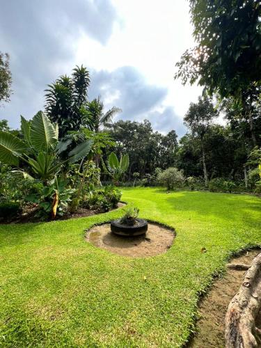 a garden with a bird bath in the grass at Wisma Batu Mandi in Bukit Lawang