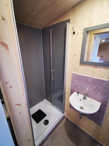 a bathroom with a shower and a sink at Landhaus Herdt in Lauda-Königshofen