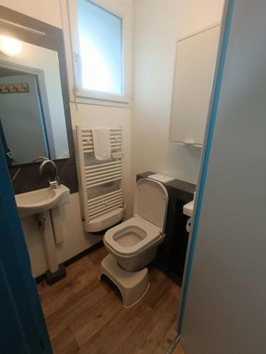 een badkamer met een toilet en een wastafel bij Le gîte du Vivier - Loches in Loches