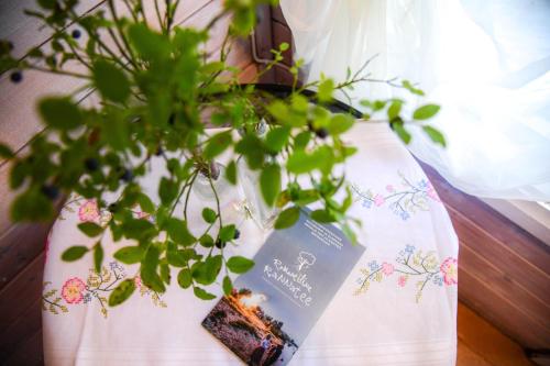 a book sitting on a table next to a plant at UKI Puhkeküla in Ranna