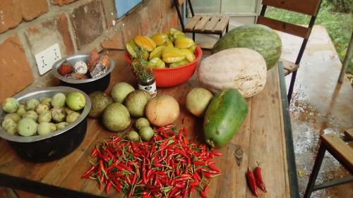 a table full of fruits and vegetables on a table at Kimashuku permaculture garden in Weru Weru