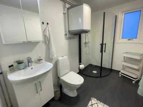 uma casa de banho com um WC, um lavatório e um chuveiro em Frost Longstay Lombiavägen em Kiruna