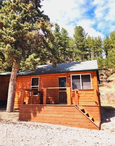 a small cabin with a porch and a tree at Allen Gulch Cabins in Hill City