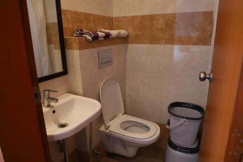małą łazienkę z toaletą i umywalką w obiekcie Flora hotel w mieście Dźodhpur