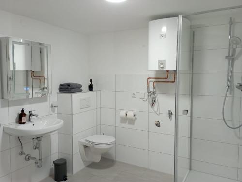 ein Bad mit einem WC, einem Waschbecken und einer Dusche in der Unterkunft Schenkgasse 4 in Amorbach