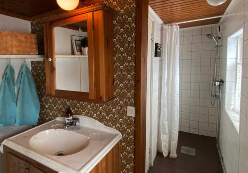 a bathroom with a sink and a mirror and a shower at Sövröds Hage in Höör