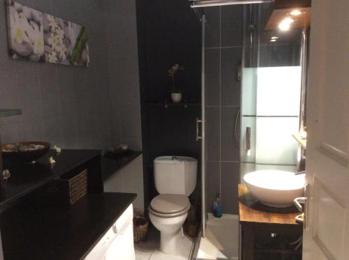 łazienka z toaletą i umywalką w obiekcie Deluy w mieście La Saline les Bains