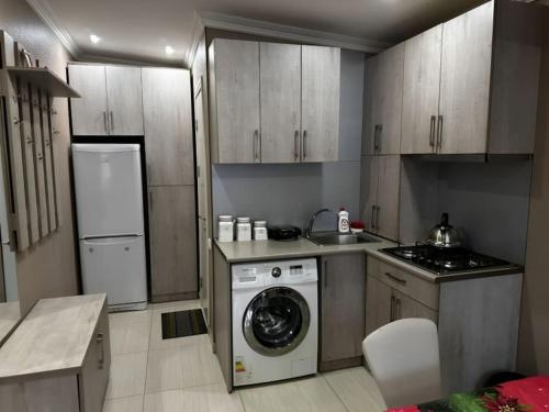 バクリアニにあるGlass House Bakurianiのキッチン(洗濯機、洗濯機付)