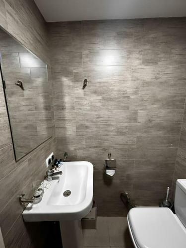 a bathroom with a sink and a toilet at Glass House Bakuriani in Bakuriani