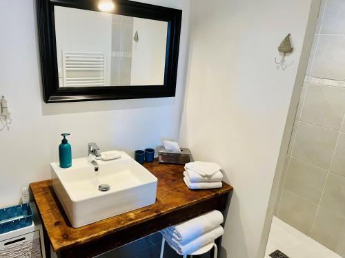 La salle de bains est pourvue d'un lavabo blanc et d'un miroir. dans l'établissement Le Credo, à Collonges