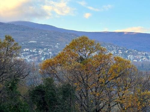 a view of a city from a hill with trees at Little Villa in Makrirrákhi