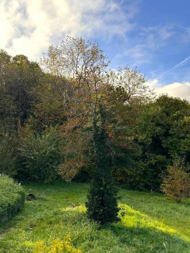 a tree in the middle of a field at Little Villa in Makrirrákhi
