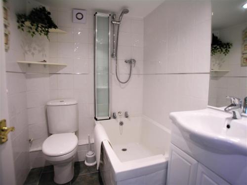 a bathroom with a toilet and a shower and a sink at 2 Bed in Bude DBANK in Holsworthy