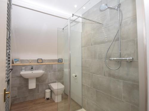 een badkamer met een douche, een toilet en een wastafel bij 2 Bed in Appledore GABLE in Appledore