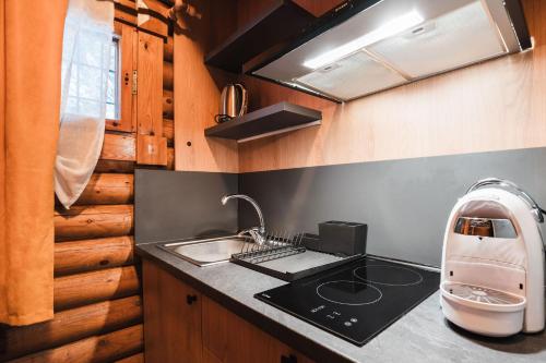 a kitchen with a sink and a mixer on a counter at Villas Jagoda & Malina in Borovets