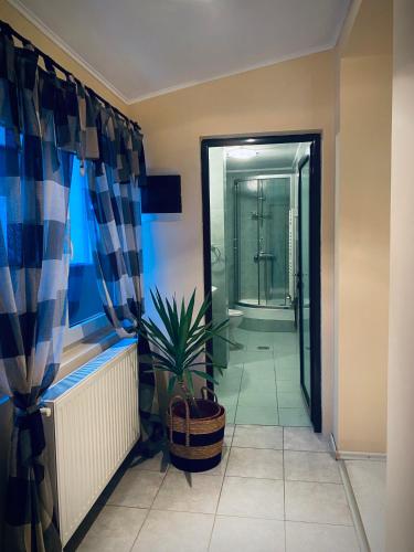 a bathroom with a shower and a potted plant at Casa Mimi in Buşteni