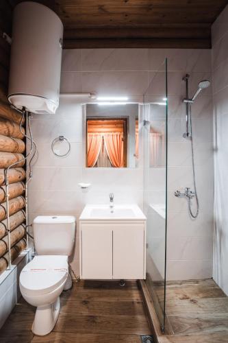 a bathroom with a toilet and a shower and a sink at Villas Jagoda & Malina in Borovets