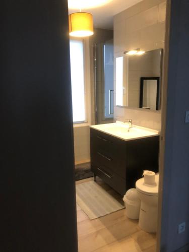 une salle de bain avec un lavabo et des toilettes dans l'établissement Maison paisible, à Niort