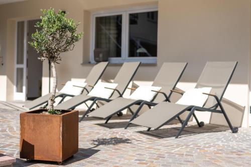 uma fila de cadeiras com um vaso de árvore num pote em Domizil K6 Kirchblick em Merdingen