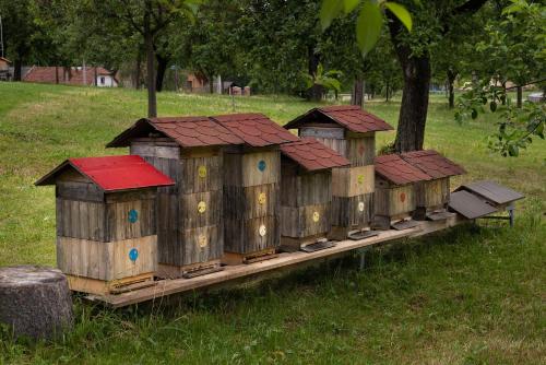 Ein Garten an der Unterkunft Penzion Zubr