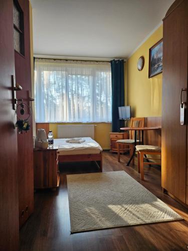 salon z łóżkiem i oknem w obiekcie "Hel" Wieniec Zdrój we Włocławku
