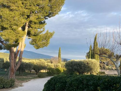 Gîte au milieux des oliviers.