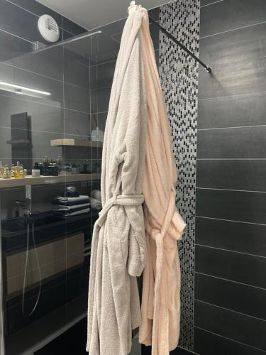 Photo de la galerie de l'établissement Warm apartment + private free park., à Vétraz-Monthoux