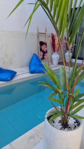 a potted plant sitting next to a swimming pool at Sansari Villa Sanur in Sanur