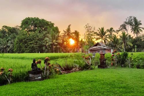 una casa en un campo de arroz con la puesta de sol en el fondo en Umasari Rice Terrace Villa, en Tabanan