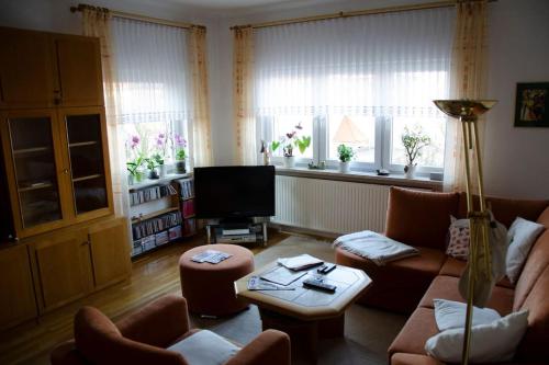 a living room with a couch and a tv at Kernberg Apartment Jena in Jena