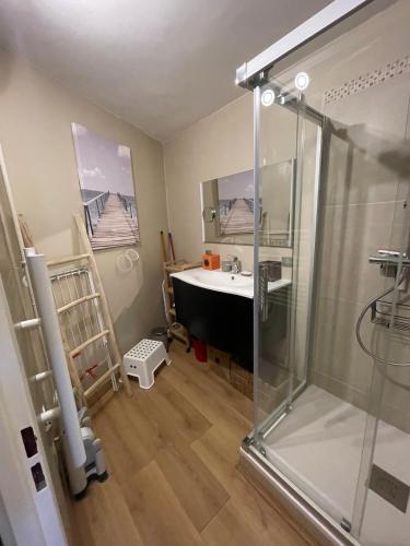 une salle de bain avec douche et lavabo dans l'établissement Studio Les Chalmettes 4 Personnes au pied des Pistes Wifi - Balcon - Parking, à Montgenèvre