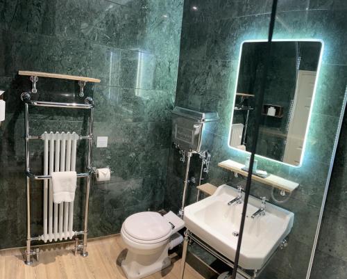 a bathroom with a toilet and a sink and a mirror at The Plough Inn in Marsham