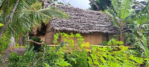 an old house with a thatched roof in a garden at Tanna Chez Nous Bungalow and Tours in Loméméti