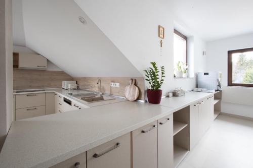 a kitchen with white cabinets and a white counter top at CASA ENCIAN in Colibiţa