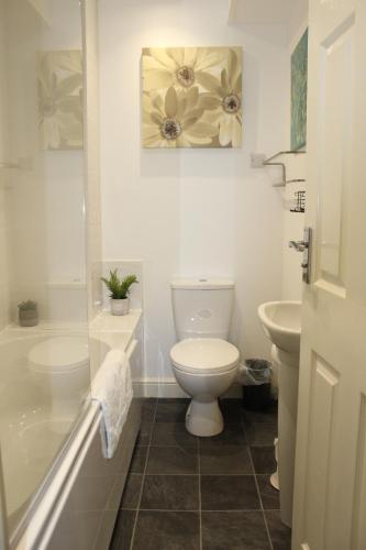 a bathroom with a toilet and a sink at Oliver Wests Beautiful 1 Bedroom Retreat in Scarborough