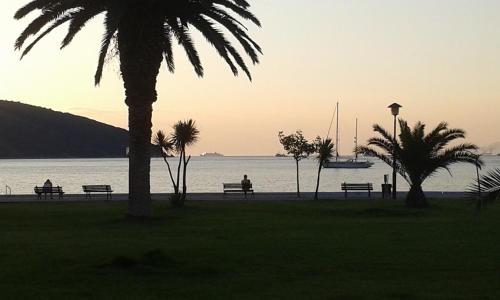 people sitting on benches near the water with a palm tree at Sea to See in Néa Péramos