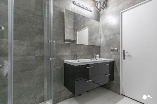 ein Bad mit einem Waschbecken und einer Dusche in der Unterkunft MBA Splendide Appart - Tracy 1 - Proche du Musée du Louvre in Paris