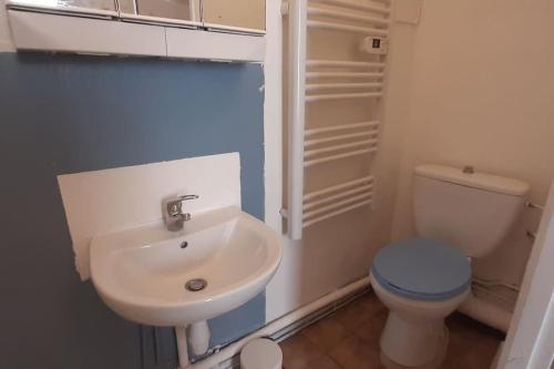 a small bathroom with a sink and a toilet at Calme, proche de Paris/ parc des princes in Boulogne-Billancourt