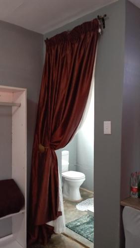 a bathroom with a toilet and a curtain at dunduzu village lodge in Mzuzu