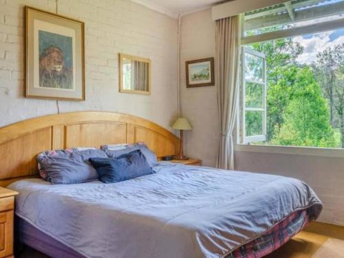 1 cama con almohadas azules en un dormitorio con ventana en Ondini Cottage, en Drakensberg Garden