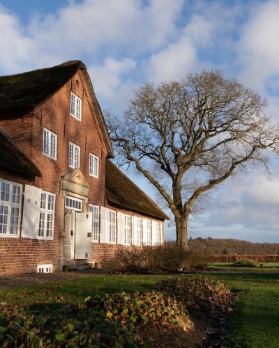 a large brick building with a tree in a field at Bjerremark Hotel og Kursuscenter in Tønder