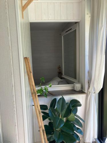une chambre avec un lit et une plante dans une fenêtre dans l'établissement Appartement cocooning à 200m des plages, à Seignosse