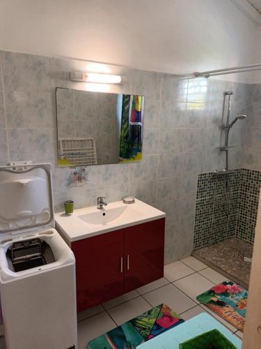 a bathroom with a sink and a mirror and a shower at Residence Corail in Sainte-Rose