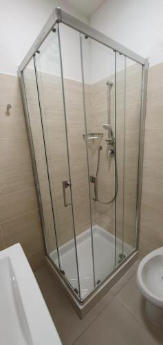 a glass shower in a bathroom with a toilet at Appartamenti Villa Miramare in Capoliveri