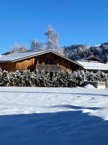 冬のChalet Du Pont D Arbonの様子